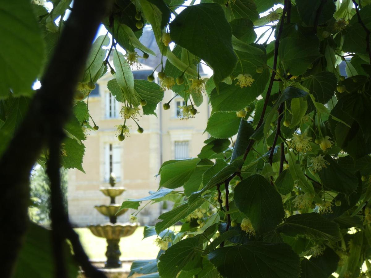 Hotel Château Marith - Etablissement climatisé avec Piscine Clairac  Esterno foto